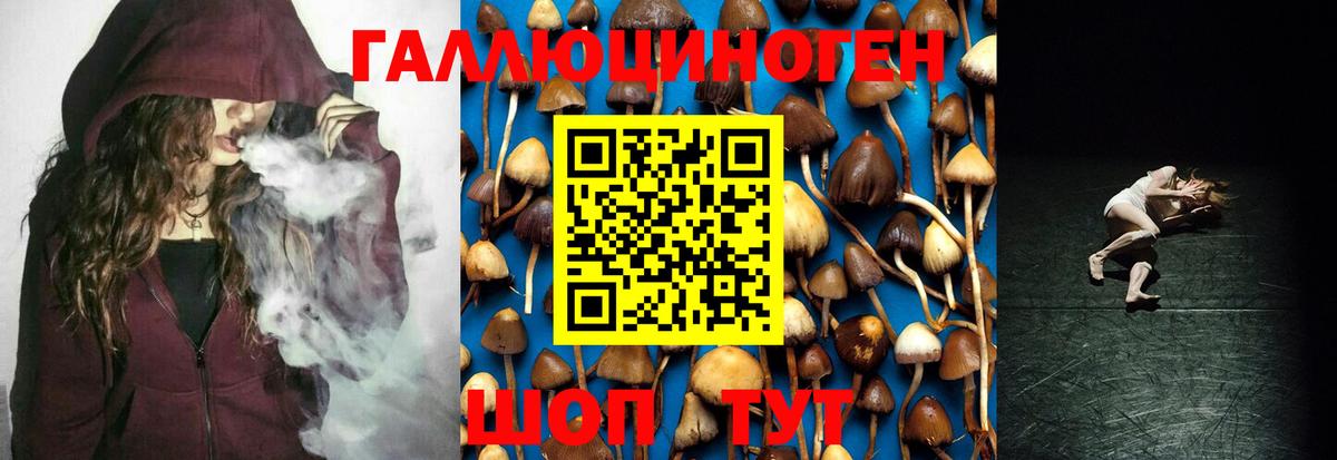 Галлюциногенные грибы ЛСД  Вход с VPN  Псилоцибиновые грибы Magic Shrooms  Унеча 